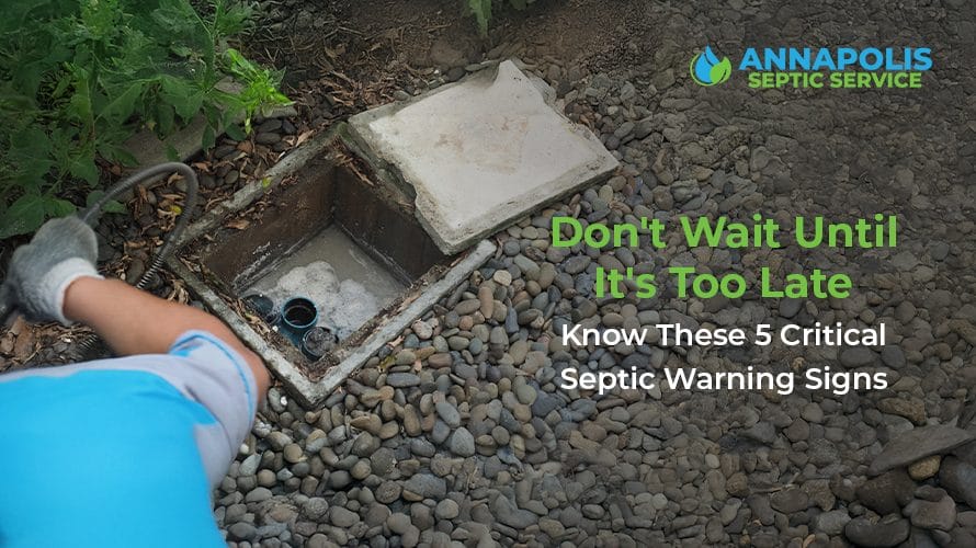 Warning signs of septic tank problems showing wet yard area and professional technician inspecting septic system in Edgewater